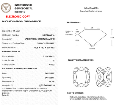 ELONGATED CUSHION - 3.12CT E VVS2 CVD - IGI E7EC957A1